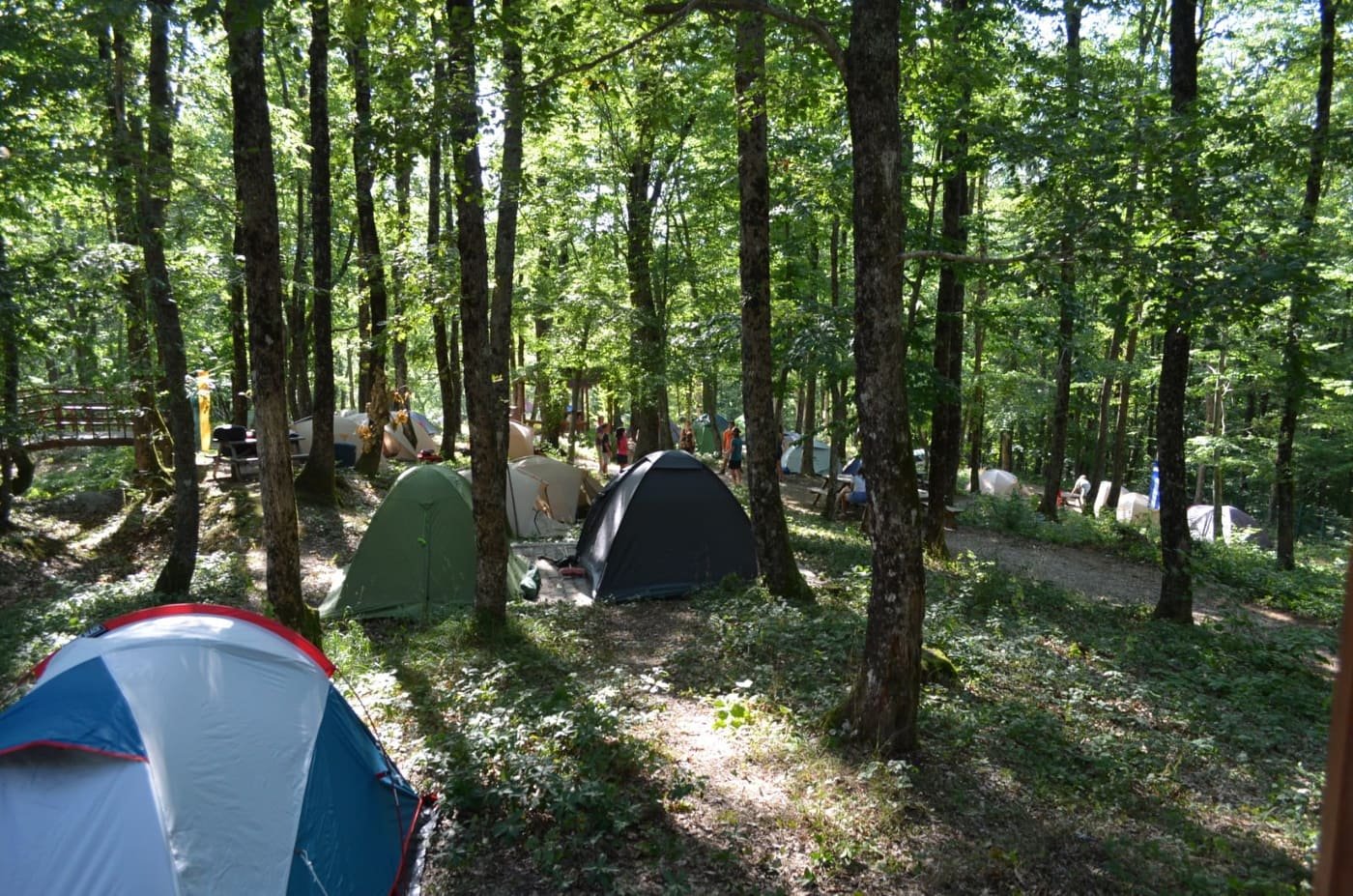 We Have Visitors Beyond Borders